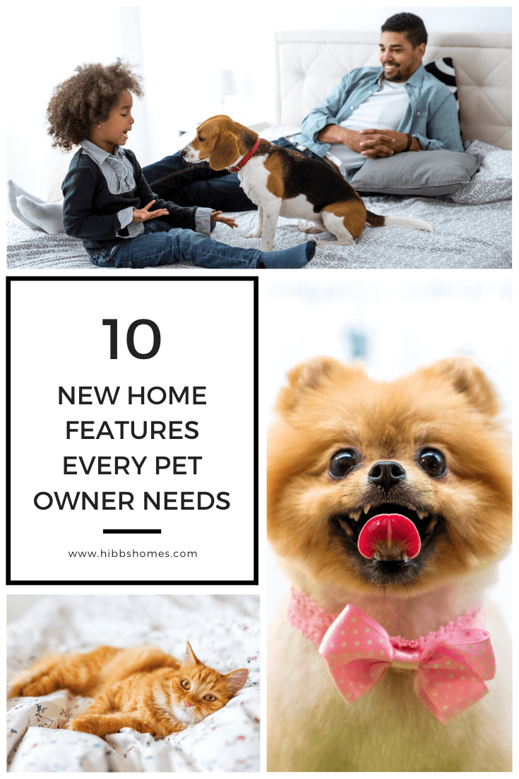 Check out this guide of 10 new home features every pet owner needs.